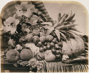 Still Life with Fruit, 1860